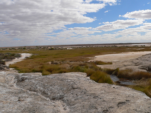 Groundwater Dependent Ecosystems