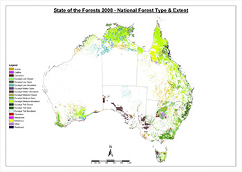 Forest of Australia
